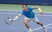 Damir Dzumhur